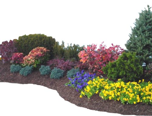 Mulch Landscaping Ideas | Garden Mulch Ideas | Mulch Bed Ideas