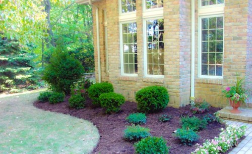 Beautiful Front Yard Landscaping | 8 Insider Secrets!